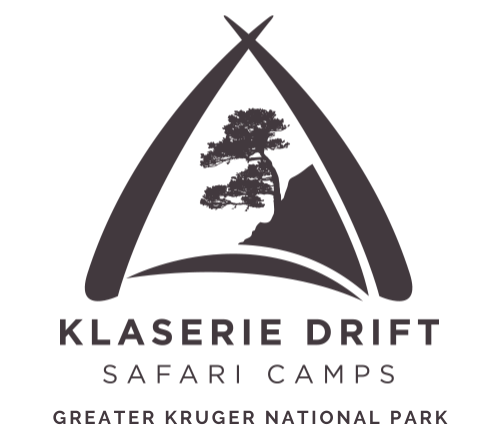Klaserie Drift Safari Camps | Boutique 5-Star  Luxury Safari Camp